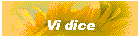 Vi dice