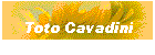 Toto Cavadini
